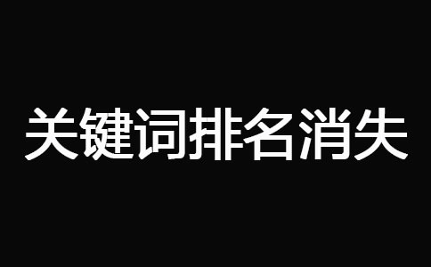 網站被K之后快速恢復技巧 經驗心得 第9張